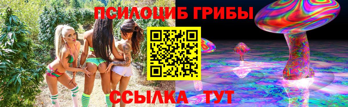 Галлюциногенные грибы ЛСД  Псилоцибиновые грибы прущие грибы  Вход с VPN  Красногорск 